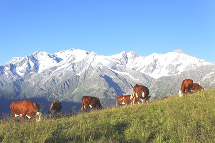 Transports Blanc-Lafraise : Collecte de lait, crème fraîche, sérum dans l‘Isère et Hautes-Alpes (Photo © Copyright : Fotolia)
